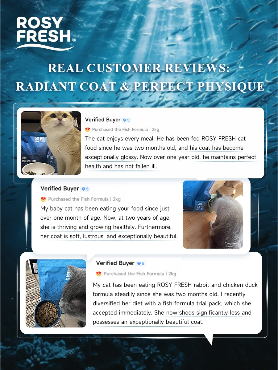 Rosy Fresh Oven-Baked Grain-Free Cat Food｜Fish Recipe 2 kg