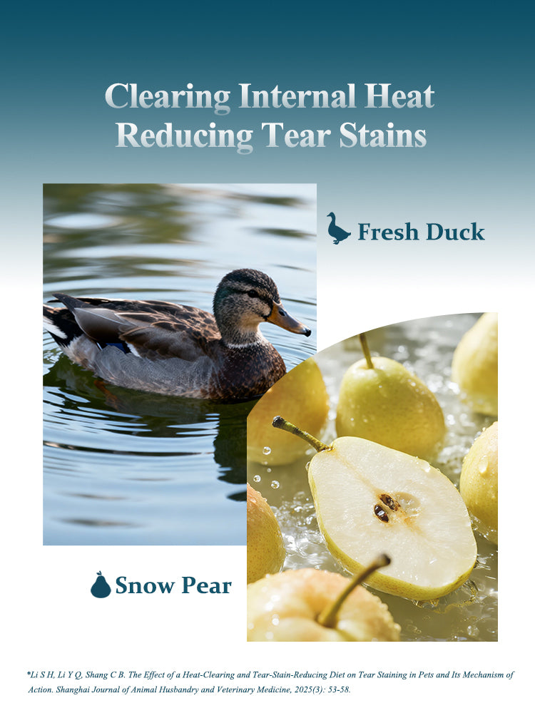 Fresh duck and snow pear ingredients featured in Rosy Fresh canned dog food