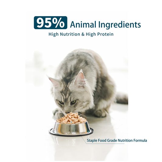 Rosy Fresh Freeze-Dried Raw Meat Cat Food ｜Chicken Recipe 300g