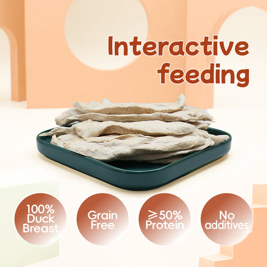 RANOVA Freeze-Dried Duck Fillet Dog & Cat Treats 25g