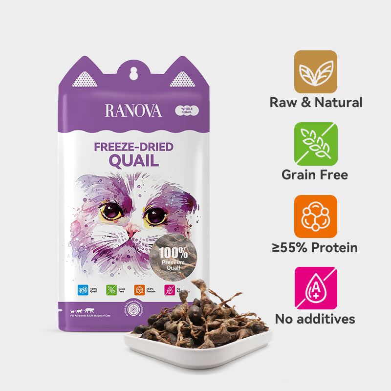 Ranova Freeze-Dried Quail Dog & Cat Treats | 40g