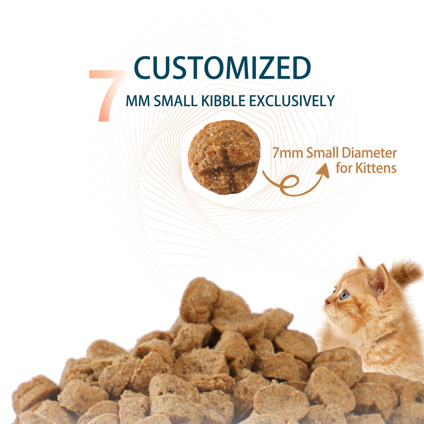 Rosy Fresh Oven-Baked Grain Free Cat Food for Kitten｜Chicken&Duck formula 1 kg
