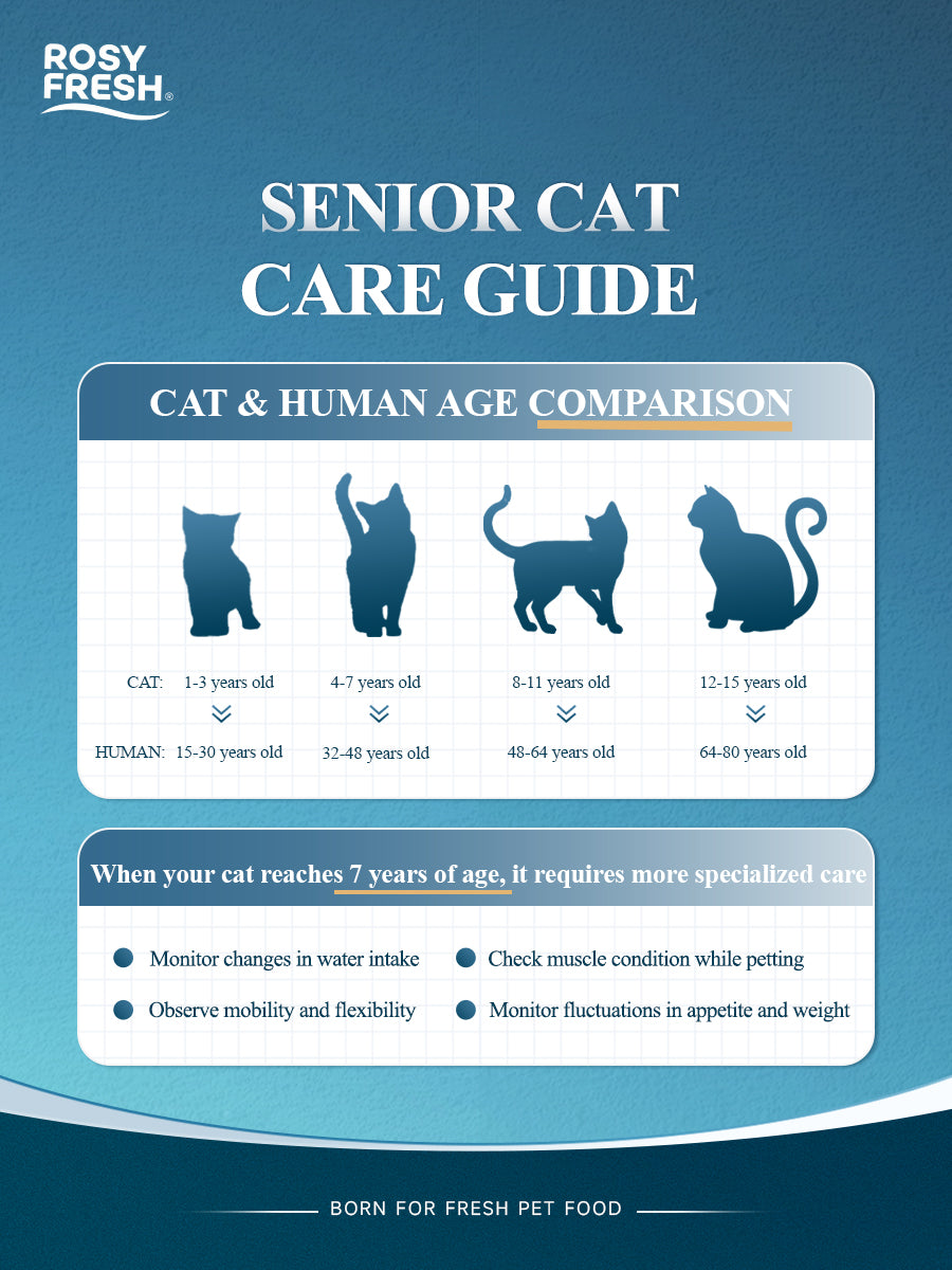 Rosy Fresh senior cat food care guide for cats aged 7 years and older