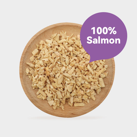 Ranova Freeze-Dried Salmon Dog & Cat Food Topper | 60g Can