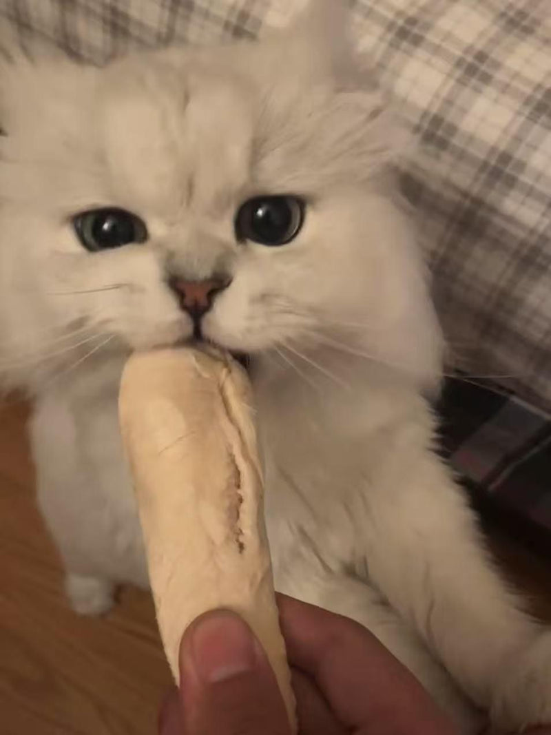 IG:purrfectpetscanada